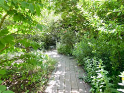 Bild14