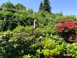 Bild15
